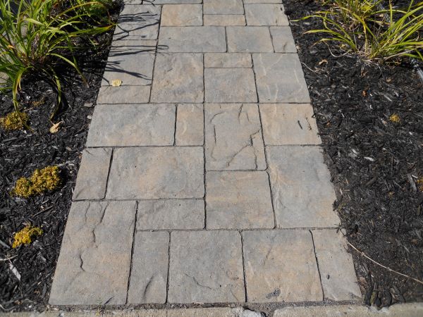 Stamped Concrete Staining in San Antonio